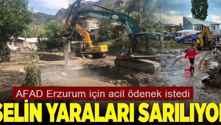 AFAD Erzurum için acil ödenek istedi