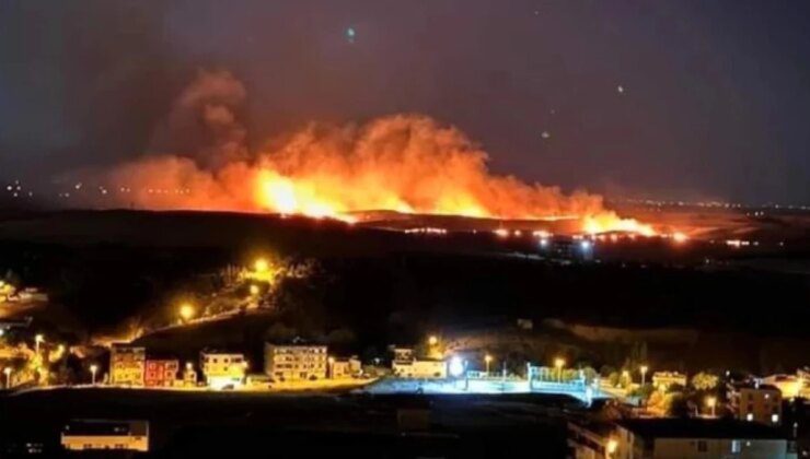 Diyarbakır’da anız yangını! İki ilçeden itfaiyeler bölgeye sevk edildi