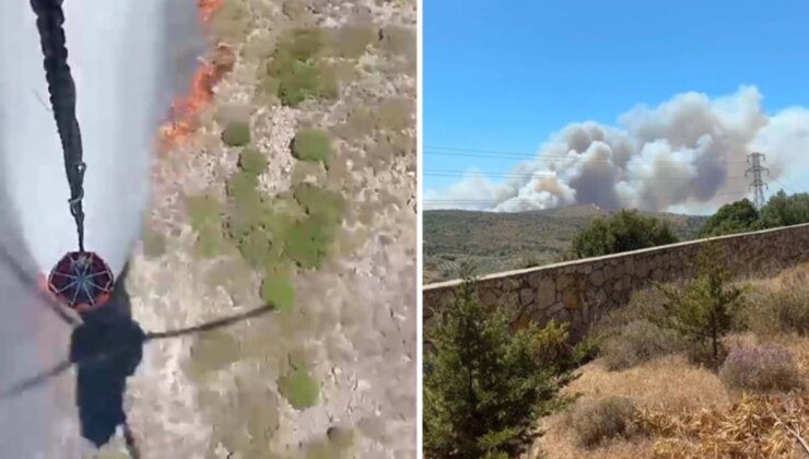 İzmir’in Çeşme ilçesindeki orman yangınında 3 kişi hayatını kaybetti