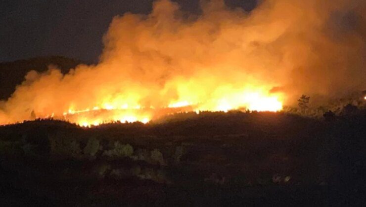 Uşak, Çanakkale ve Balıkesir’de orman yangını alarmı! Çok sayıda ev tahliye edildi