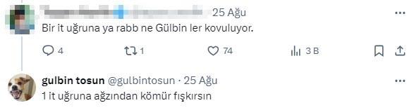 Mansur Yavaş paylaşımı nedeniyle zorunlu izne çıkarılan Gülbin Tosun'dan eleştirilere küfürlü cevap