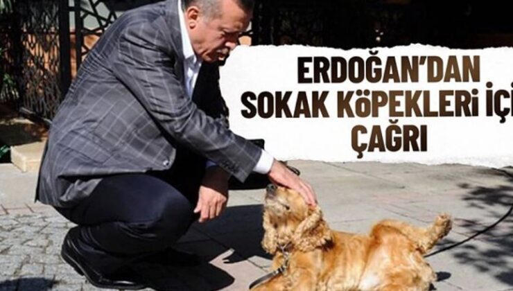 AK Partili isim ‘katliam’ görüntülerine isyan edip Erdoğan’a çağrı yaptı