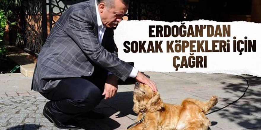 AK Partili isim 'katliam' görüntülerine isyan edip Erdoğan'a çağrı yaptı