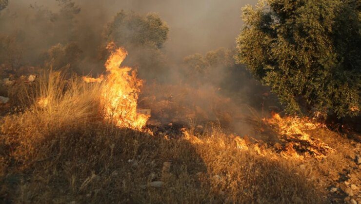 Muğla’nın Yatağan ilçesinde de orman yangını başladı, hızla yayılıyor