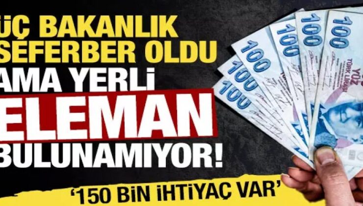 150 bin çoban aranıyor: 3 bakanlık seferber oldu