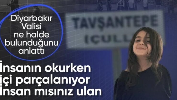 Narin olayında kan donduran detayları vali açıkladı!