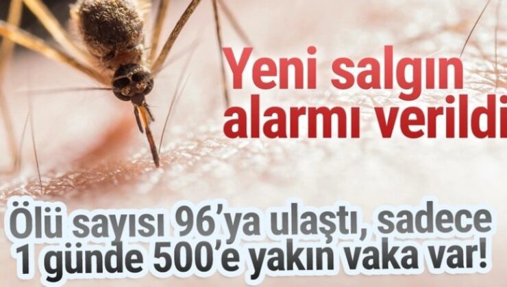 96 kişi ölmüştü, bir günde 500’e yakın vaka