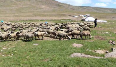 Erzurum’da Tarım Sektörü İçin Bilgilendirme Toplantıları Düzenlendi