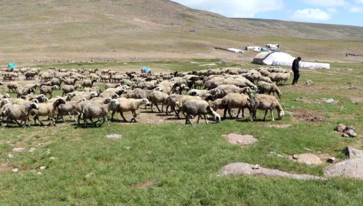 Erzurum’da Tarım Sektörü İçin Bilgilendirme Toplantıları Düzenlendi