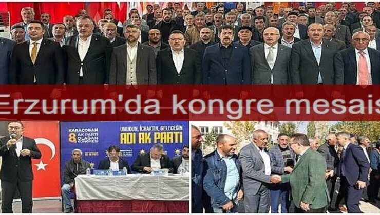 Erzurum’da kongre mesaisi