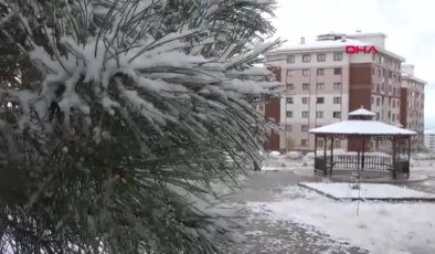 Erzurum’da Kar Yağışı Başladı, Hava Sıcaklıkları Eksi 4 Dereceye Düştü