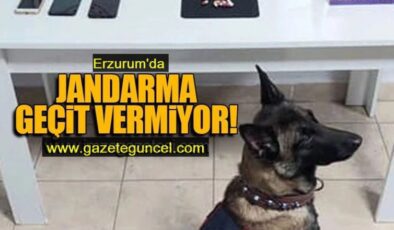 Erzurum’da jandarma suçlulara geçit vermiyor