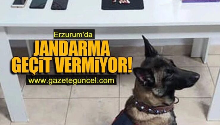 Erzurum’da jandarma suçlulara geçit vermiyor