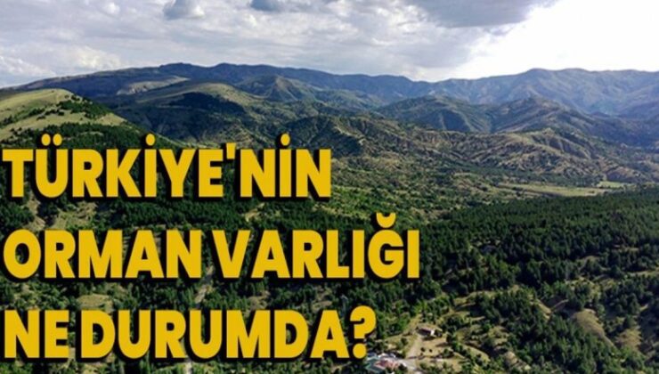 Erzurum’un orman varlığı belirlendi