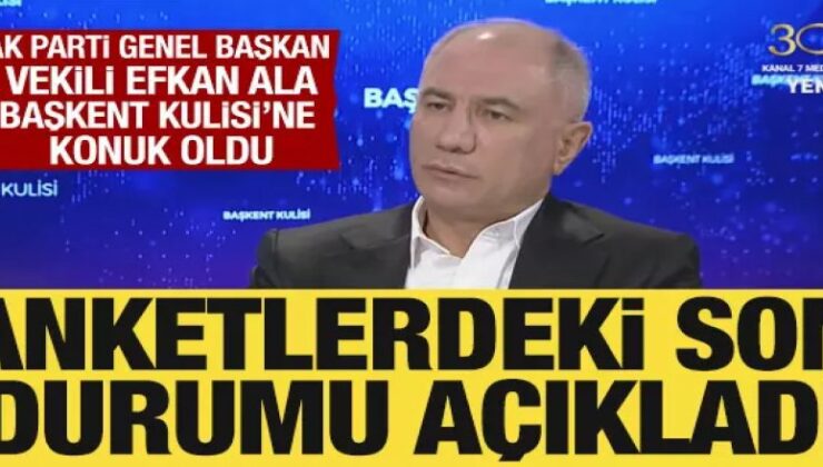 AK Parti Genel Başkan Vekili Efkan Ala, anketlerdeki son durumu açıkladı