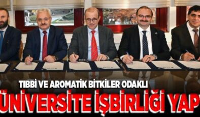 AÜ, 5 üniversite işbirliği yaptı