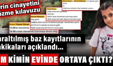 Narin cinayetini çözme kılavuzu. Daraltılmış baz kayıtları açıklandı