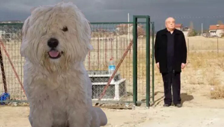 Ölen köpeği için arsa satın alıp, mezar yaptırdı