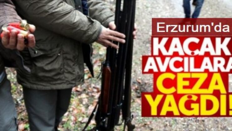 Erzurum’da jandarmadan kaçak avcı avı