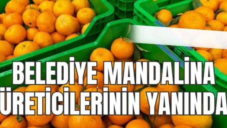 BELEDİYE MANDALİNA ÜRETİCİLERİNİN YANINDA