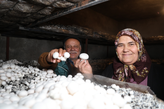 Emekli olunca hobisi ekmek teknesi oldu: Ayda 40 bin lira kazanmaya başladı