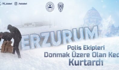 Erzurum’da Polis Ekipleri Donmak Üzere Olan Kediyi Kurtardı