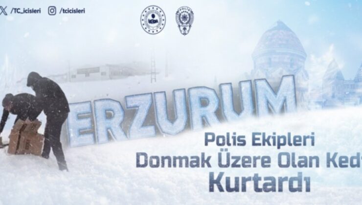 Erzurum’da Polis Ekipleri Donmak Üzere Olan Kediyi Kurtardı