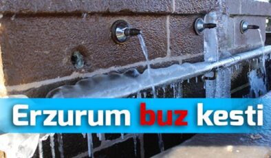 Erzurum’da dondurucu soğuklar etkisini sürdürüyor