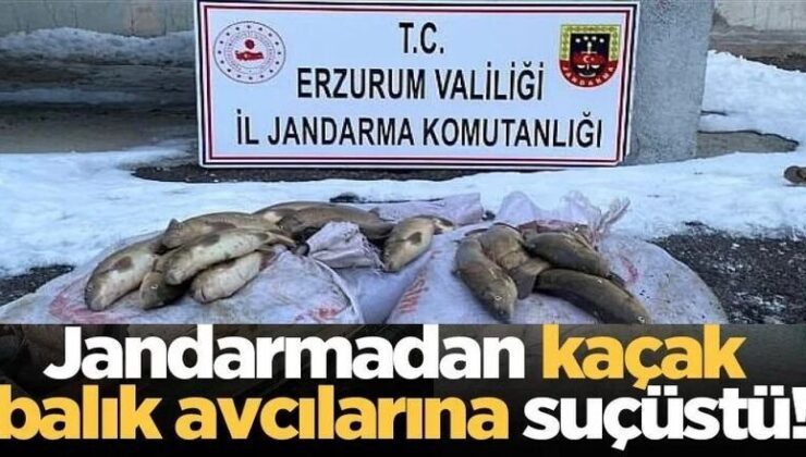 Erzurum’da jandarma kaçak avında: 340 kg sazan yakalandı