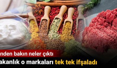 Bakanlık o markaları tek tek ifşaladı. İçinden bakın neler çıktı