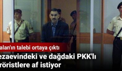 Cezaevindeki ve dağdaki PKK’lı teröristlere af istiyor