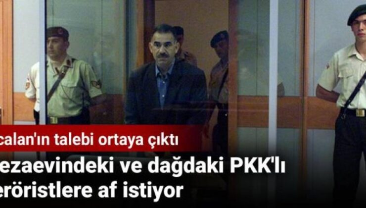 Cezaevindeki ve dağdaki PKK’lı teröristlere af istiyor