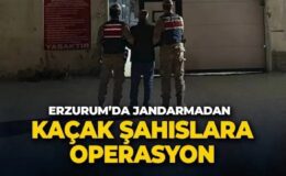 Erzurum’da aranan şahıslar jandarmaya yakalandı