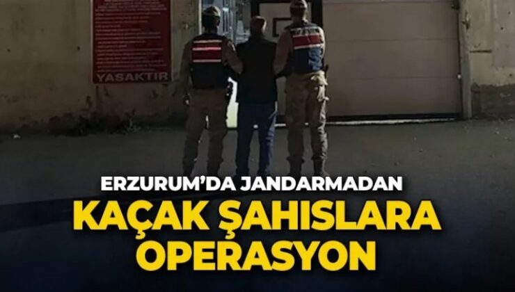 Erzurum’da aranan şahıslar jandarmaya yakalandı